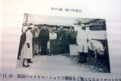 ロイヤル・ショウで種豚をご覧になるエリザベス女王